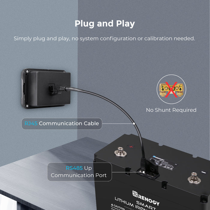 Renogy Monitoring Screen for Smart Lithium Battery Series