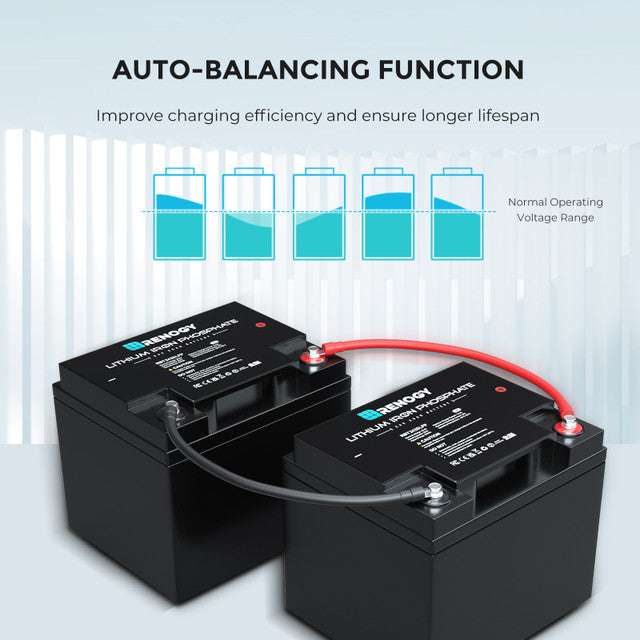 Renogy 24V 25Ah Lithium Iron Phosphate Battery