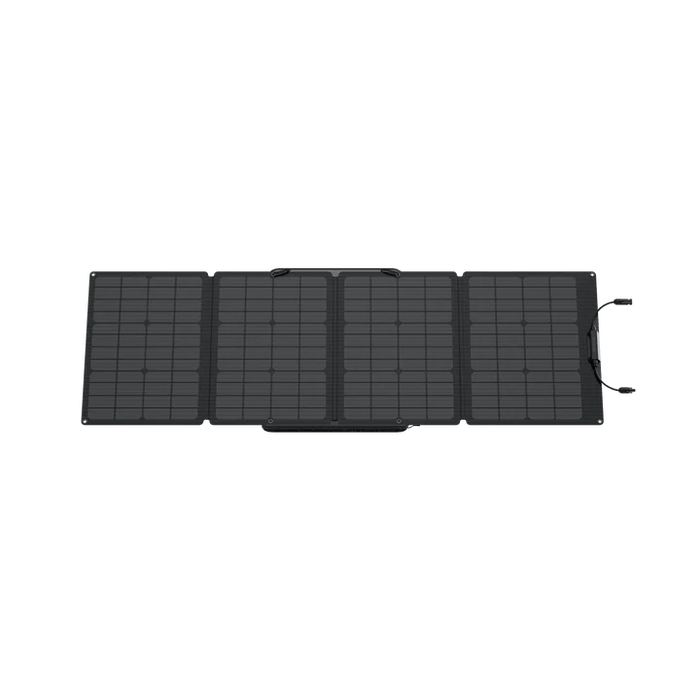 EcoFlow RIVER 2 Pro Solar Generator + 110W Portable Solar Panel