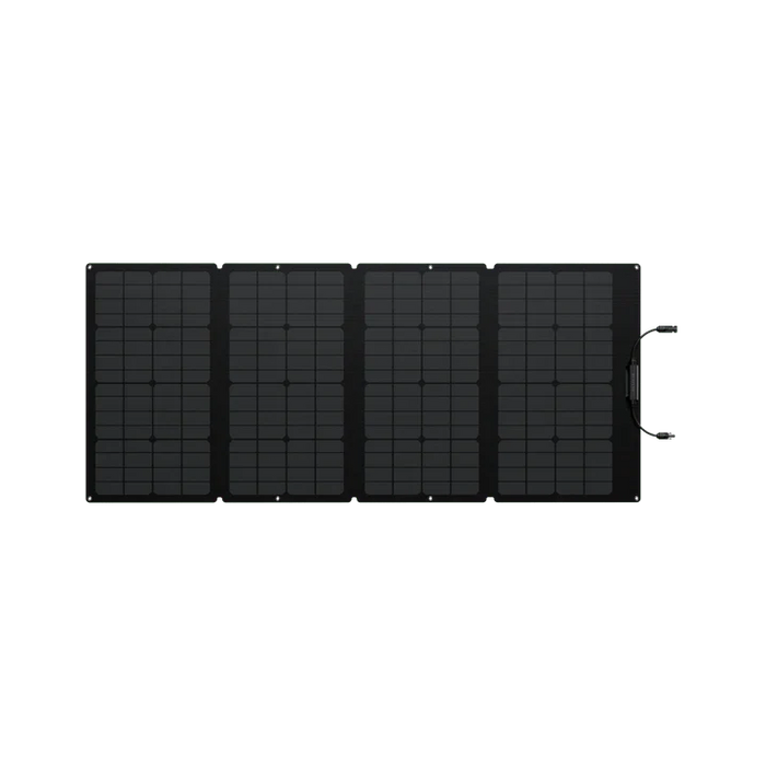 EcoFlow DELTA 2 + 160W Portable Solar Panels