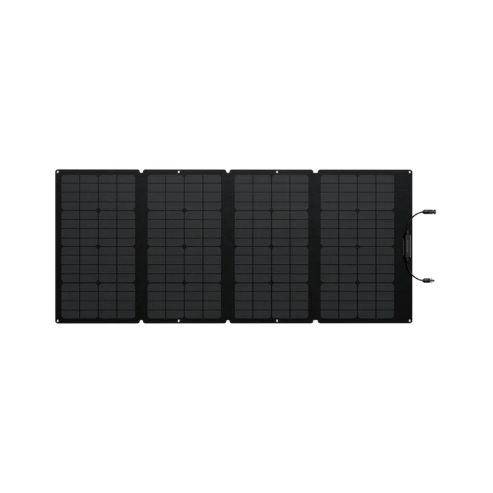 EcoFlow DELTA 2 Max + 160W Portable Solar Panel