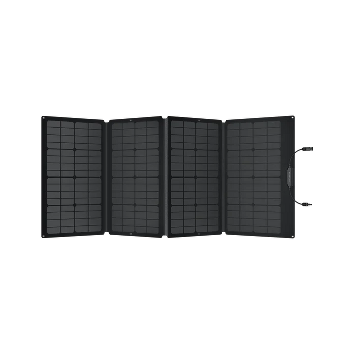 EcoFlow DELTA 2 Max + 160W Portable Solar Panel