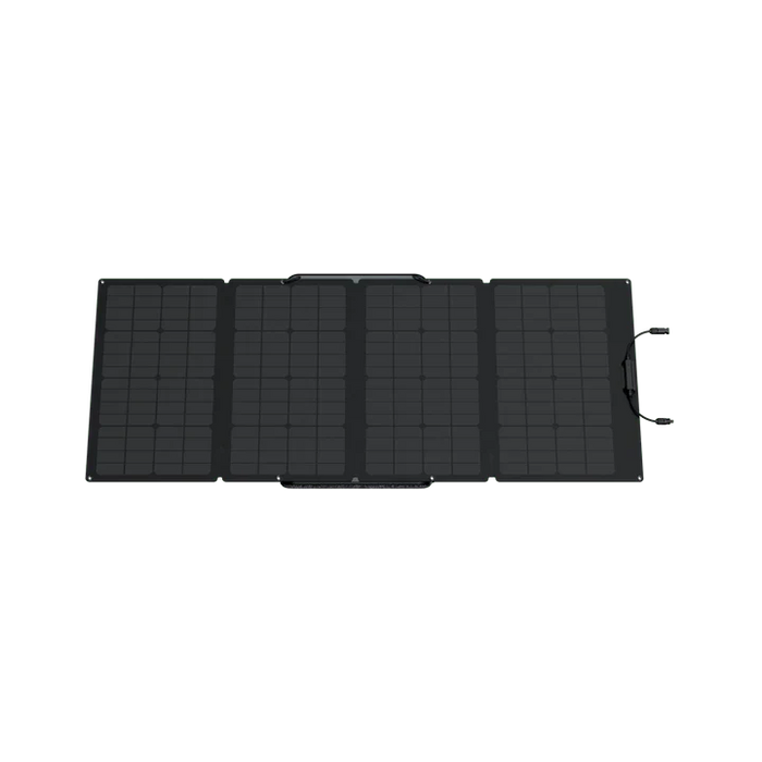 EcoFlow DELTA 2 + 160W Portable Solar Panels