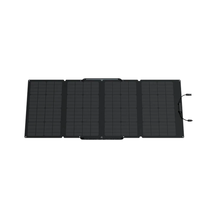 EcoFlow DELTA 2 Max + 160W Portable Solar Panel