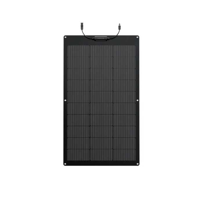 EcoFlow 100W Flexible Solar Panel