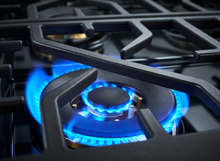 Forza 36-Inch Professional Dual Fuel Range in Dinamico Blue (FR366DF-B)